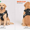 Front-Clip vs Back-Clip Harness: Which Leash Ring Should You Use?