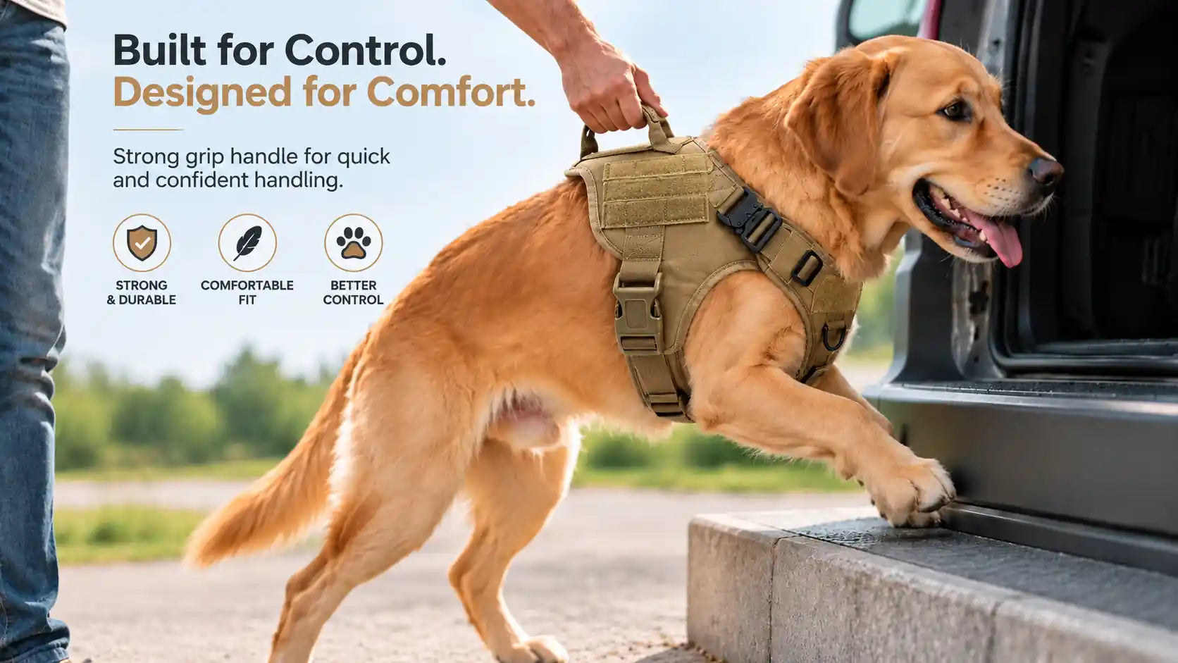 Is It Safe to Lift Your Dog by the Harness Handle?