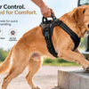 Is It Safe to Lift Your Dog by the Harness Handle?