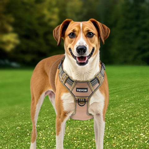 Adjustable heavy-duty harness for large dog training