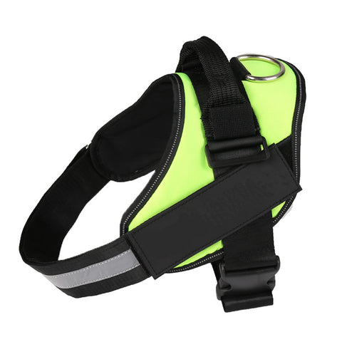 Dog harness with reflective strip on a white background