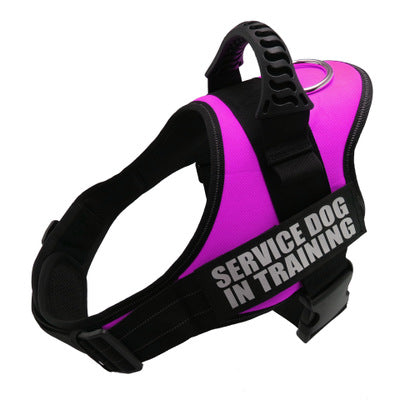 Purple and black dog harness with 'Service Dog In Training' text on a white background