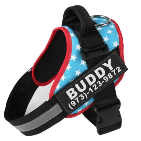 Dog harness with American flag pattern and 'Buddy' label on a white background