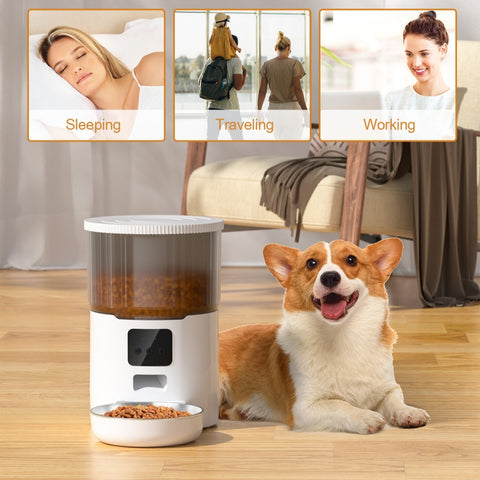 pet feeder