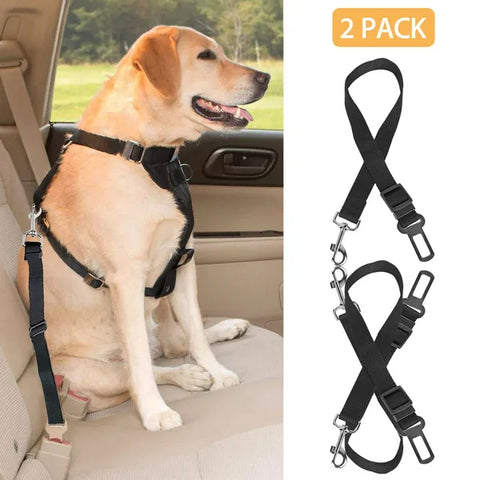 Dog in a black harness clipped to a car seat belt, with a 2 pack of black safety leads