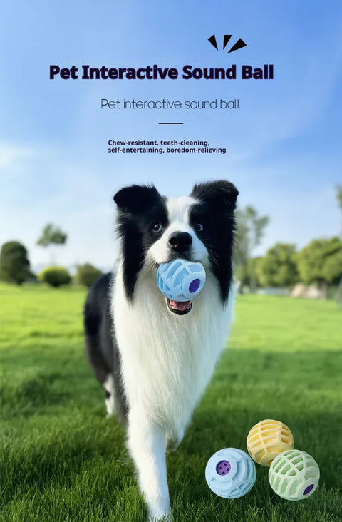 Pet Interactive Sound Ball,The Mellow Dog Cat Pet Voice Ball,Interactive Pet Squeaky Toys