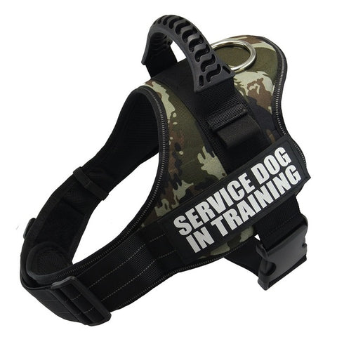 Camouflage dog harness with 'Service Dog in Training' text on a white background