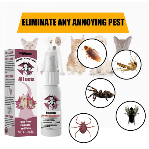 Yegbong pest control product for pets with packaging, bottle, and illustrations of pests on a white background.