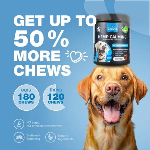 Dog with a bottle of Hemp Calming Chews on its head against a blue background