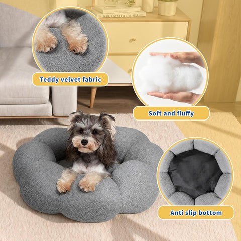 Dog lying on a gray pet bed with features highlighted, including teddy velvet fabric, softness, and anti-slip bottom.