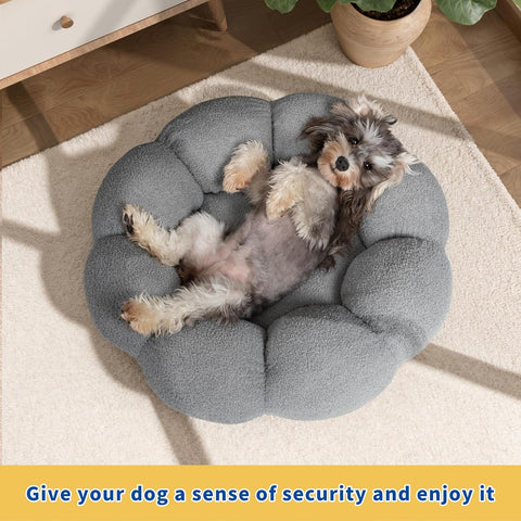 Dog lying on a gray donut-shaped pet bed with a cozy indoor setting.