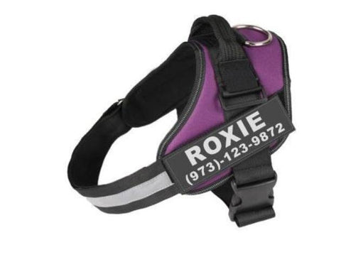 Purple dog harness with reflective strip and nameplate on a white background
