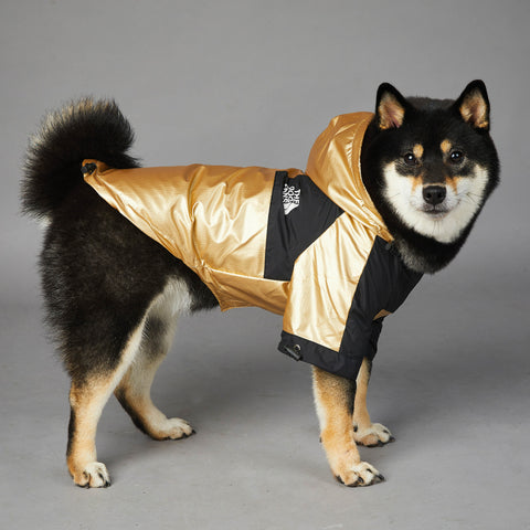 large dog raincoat