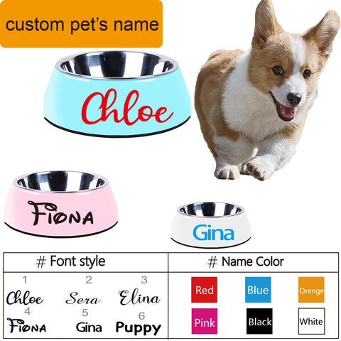 Three personalized pet bowls with names 'Chloe', 'Fiona', and 'Gina' next to a dog.