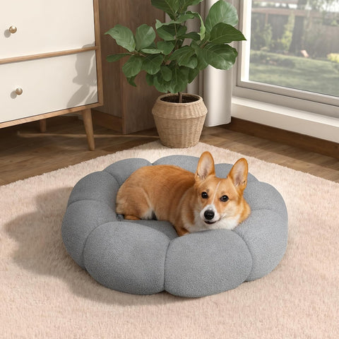 Dog lying on a gray pet bed in a cozy room with a plant and window.