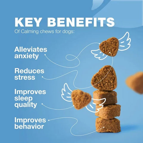 Dog calming chews with key benefits listed on a blue background