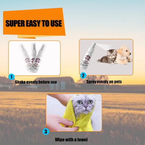 Instructions for using a pet product with a scenic background