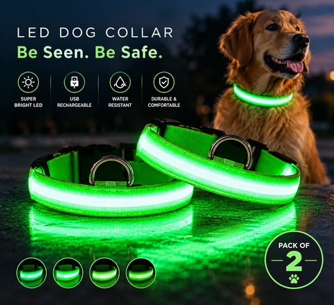 LED Dog Collar Multi-Pack — Rechargeable Night Safety Collars