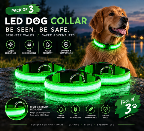 LED Dog Collar Multi-Pack — Rechargeable Night Safety Collars