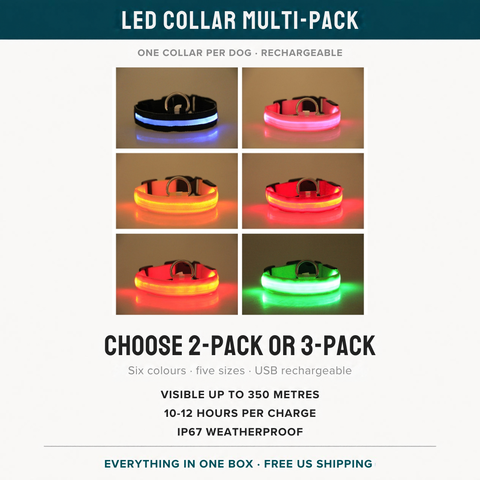 LED Dog Collar Multi-Pack — Rechargeable Night Safety Collars