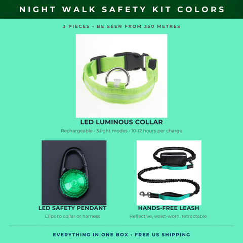 Night Walk Safety Kit — LED Collar, Light-Up Pendant & Reflective Leash