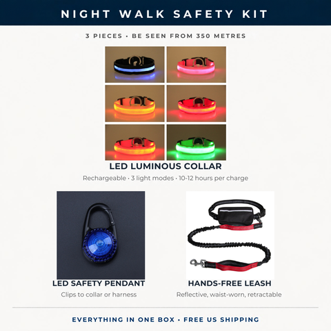 Night Walk Safety Kit — LED Collar, Light-Up Pendant & Reflective Leash