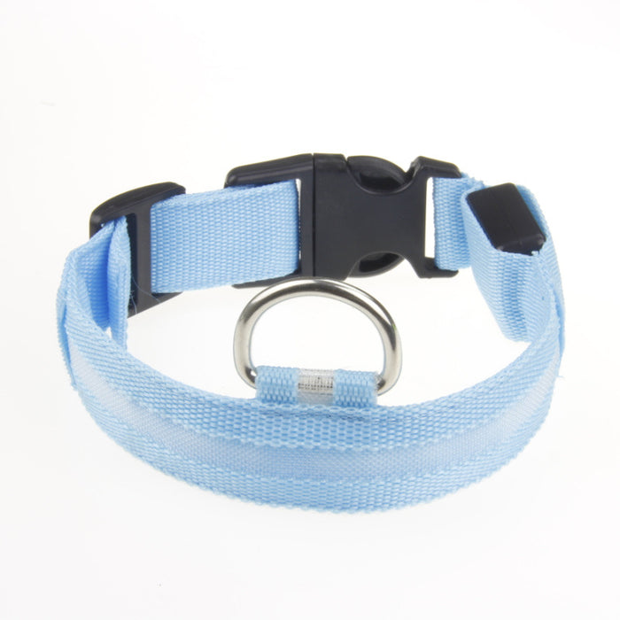 Light blue dog collar with a black buckle on a white background