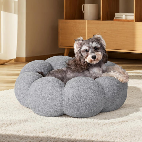 Dog lying on a round, gray pet bed in a home setting.