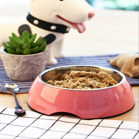 Pink pet bowl with food on a table, with a dog toy and plant in the background.