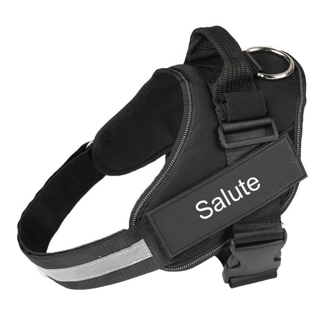 Black dog harness with 'Salute' branding on a white background
