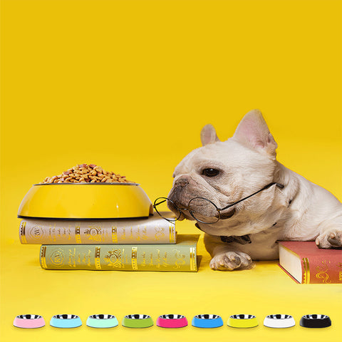 Dog with a stack of books and a bowl of food on a yellow background