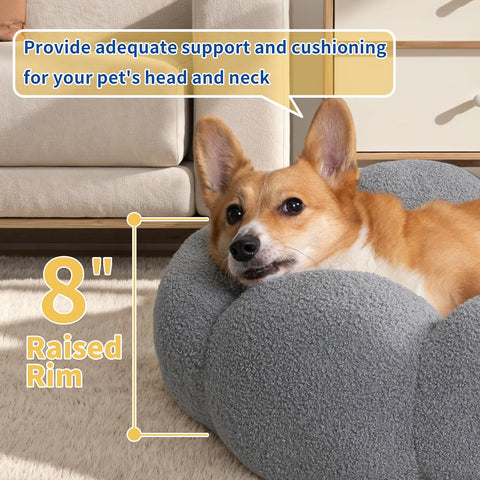 Dog lying on a gray raised pet bed with text highlighting support and cushioning for pets.