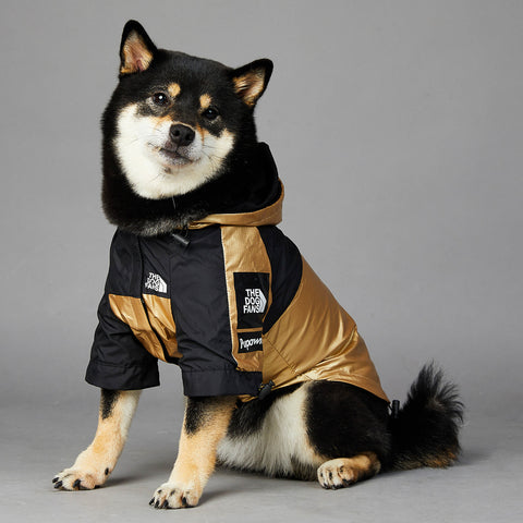 dog raincoats
