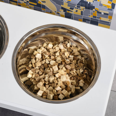 Stainless steel bowl filled with dog food on a white surface with a colorful tiled wall in the background.