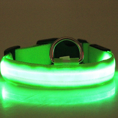 Green glowing LED nylon dog collar with metal D-ring lit up in the dark