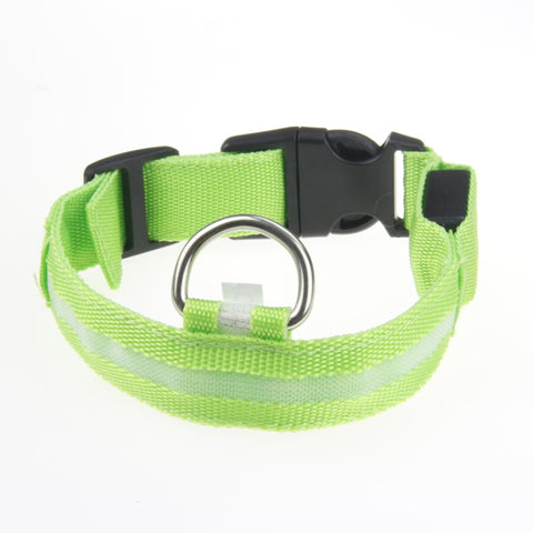 Green nylon LED dog collar with black buckle silver D-ring and a clear light strip lights off