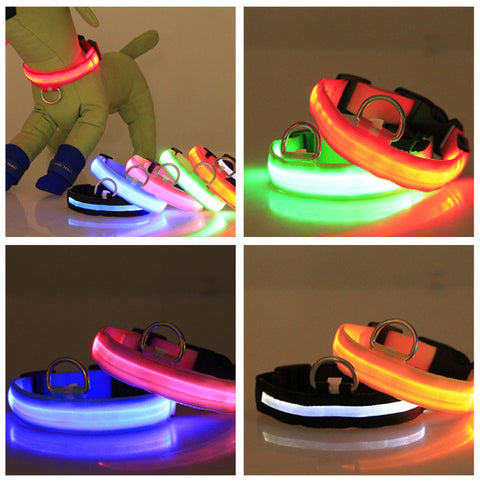 Four-panel view of glowing LED dog collars in blue, pink, orange, green and black