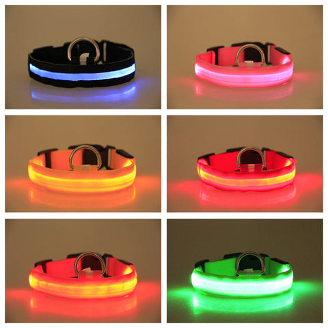 Six LED dog collars glowing in blue pink orange red black and  green at night