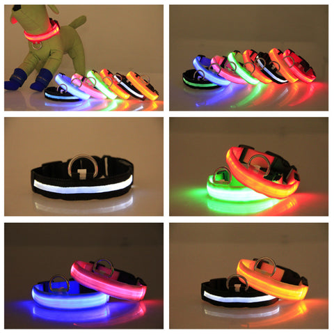 Row of colorful LED pet collars glowing beside a toy dog wearing a red one