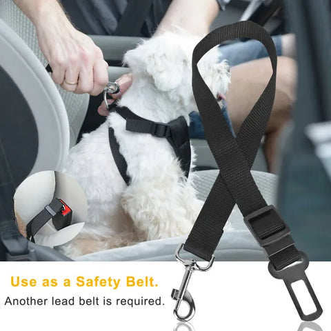 Hand holding a black adjustable seat belt lead clipped to a white dog’s harness in a car